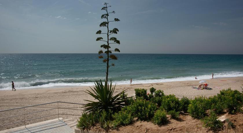 Appartamento Apart. A-Dorada Miami Playa Esterno foto
